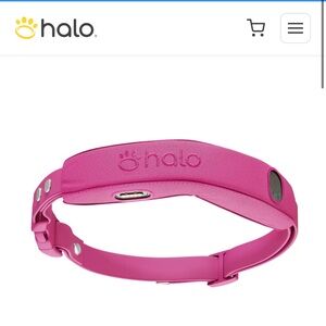 Halo Orchid Pink Reflective Dog Collar